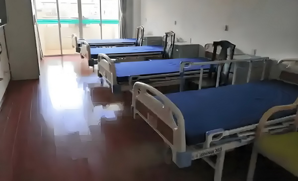 凤舞九天之龙的的传说