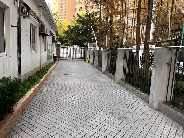 冒牌悍妞